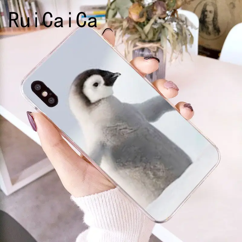 Cute Lovely Penguin
