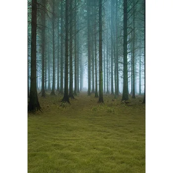 

Vinyl Photography Digital Printed Backdrop Forest Morning Children Birthday Background Photo Studio Protrait Baby Shower Wedding
