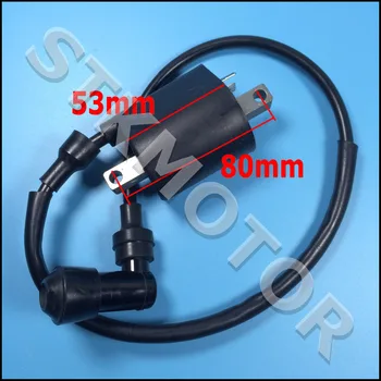 

Original Buyang Feishen FA-D300 G300 H300 Ignition Coil and Wire 5.3.01.0240