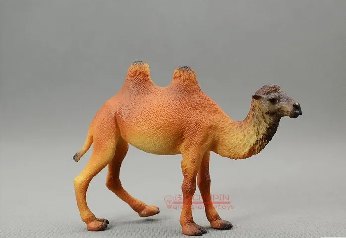 Bactrian camels  pvc figures  Animas ! solid anima...
