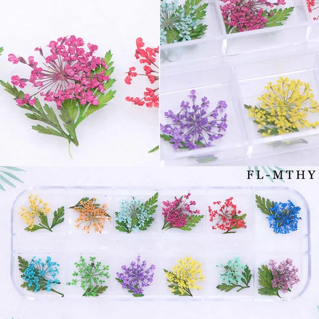 12 color nail art nature dry flowers set gel polish tip 3d diy floral 12 color nail art nature dry flowers set gel polish tip 3d diy floral