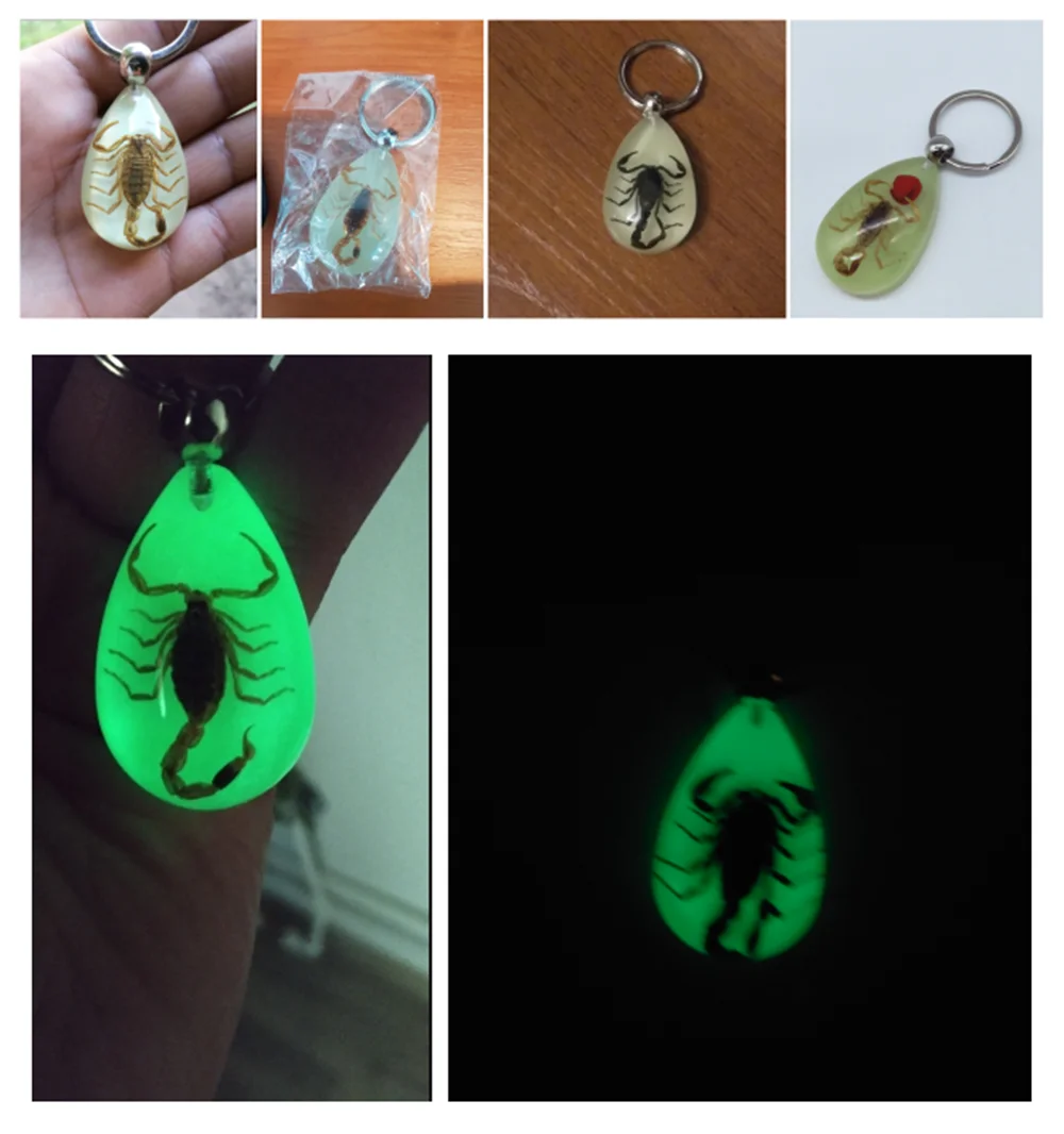 Motorcycle mountain bike insect keychain personality pendant car for HONDA CBF600 SA CBR600F hoRnet 250 cb400 CB599 CB600 HORNET