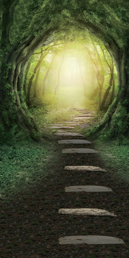 Scenery Background Portrait HUAYI Forest Art Fabric Photography Backdrop Scenery Custom Photo