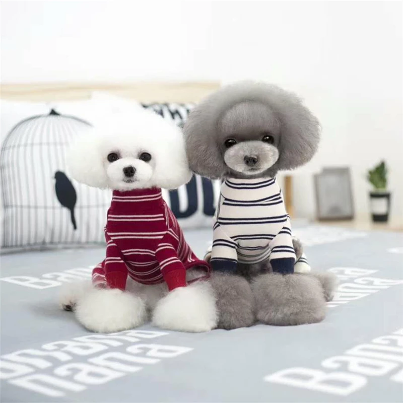 dog clothes winter (8)