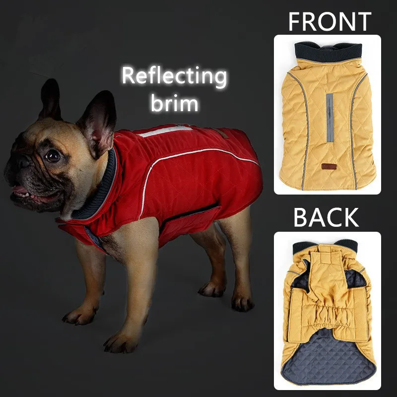 warm dog coats