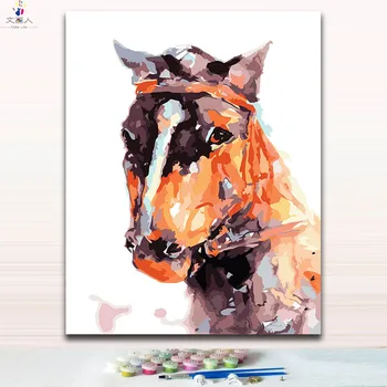 

watercoloful horse head paintings colorings by numbers with paints package as children paints gift do it by yourself on canvas