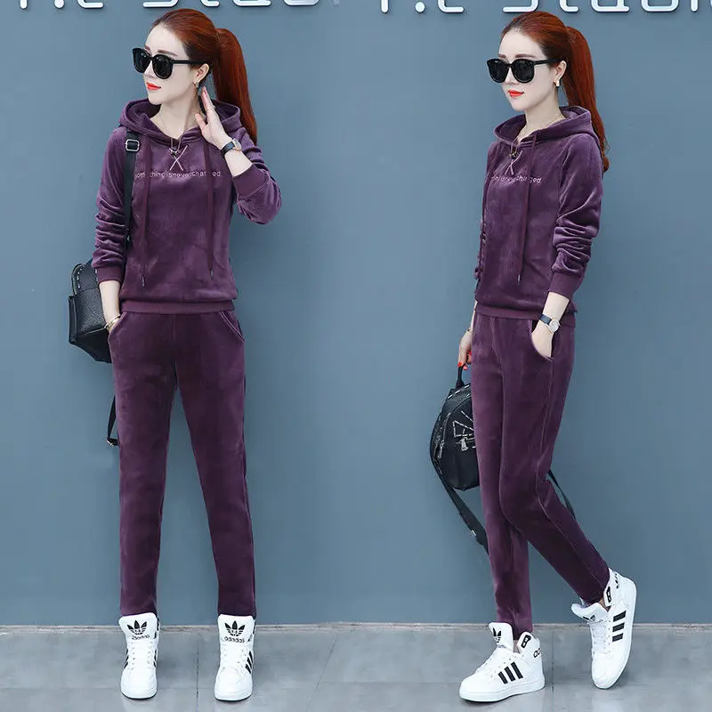 Matching Sets Autumn Plus Size Casual Loose Velvet Tracksuits 2 Pieces Set Women High Elastic Hooded Sweatshirts And Harem Pants - Цвет: purple gray