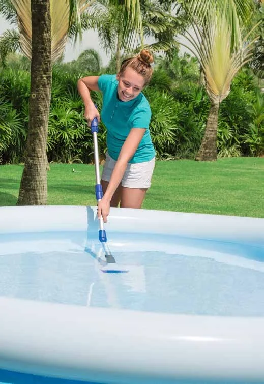 BW Pool Cleaner Intro pdf