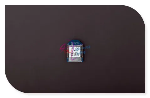sui_005
