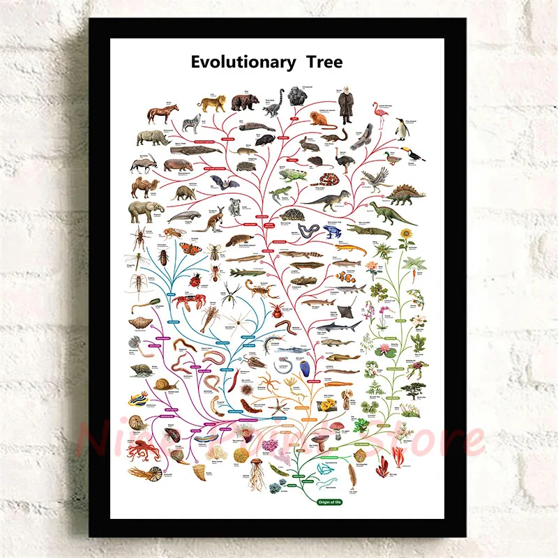 product illustrated handbook White Coated Paper Posters Cafe Home Furnishing decoration Drawing core Wall stickers Frameless