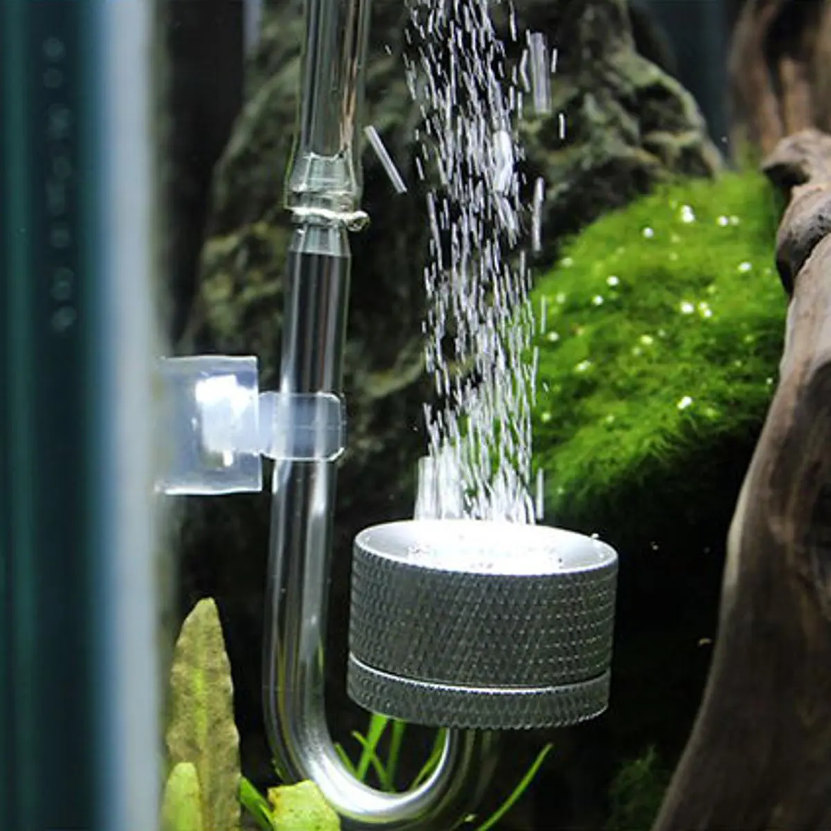 

Set CO2 Diffuser Atomizer Regulator Reactor for Fish Tank Aquarium Plant Moss