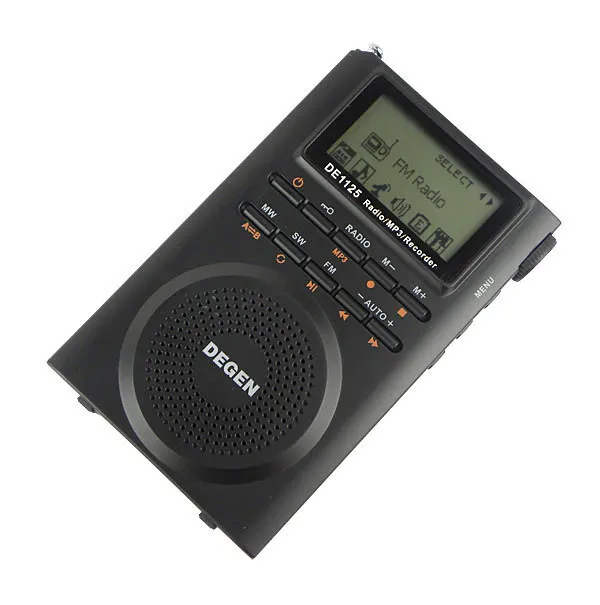 Free shipping DEGEN DE1125 FM/MW/SW DSP Digital Radio Recorder FM Stereo MW SW AM MP3 E-Book 4GB | Электроника