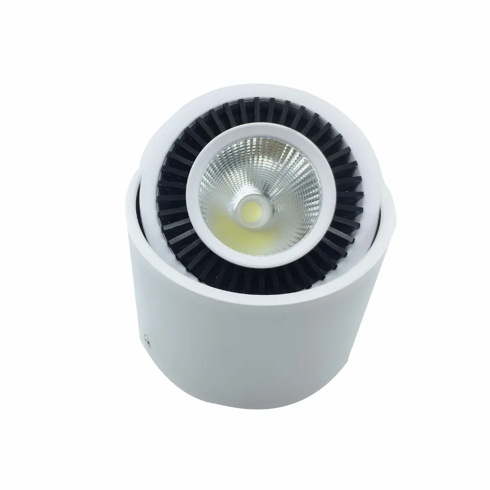 Downlight 8