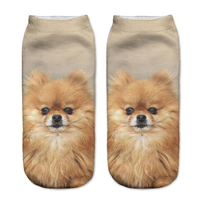 Cute Socks 90190 1 пара забавных 3D носков женские носки фантазийные Полиэстеровые милые носки Харадзюку с принтом собак новое поступление - Цвет: Cute Socks 90190