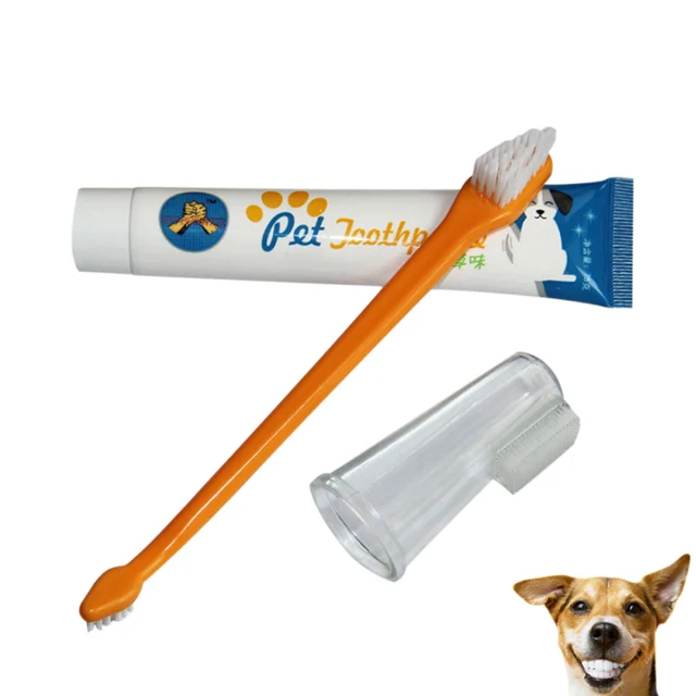 Cat Dog Toothbrush Set with Toothpaste Finger Brush Pet Oral Care