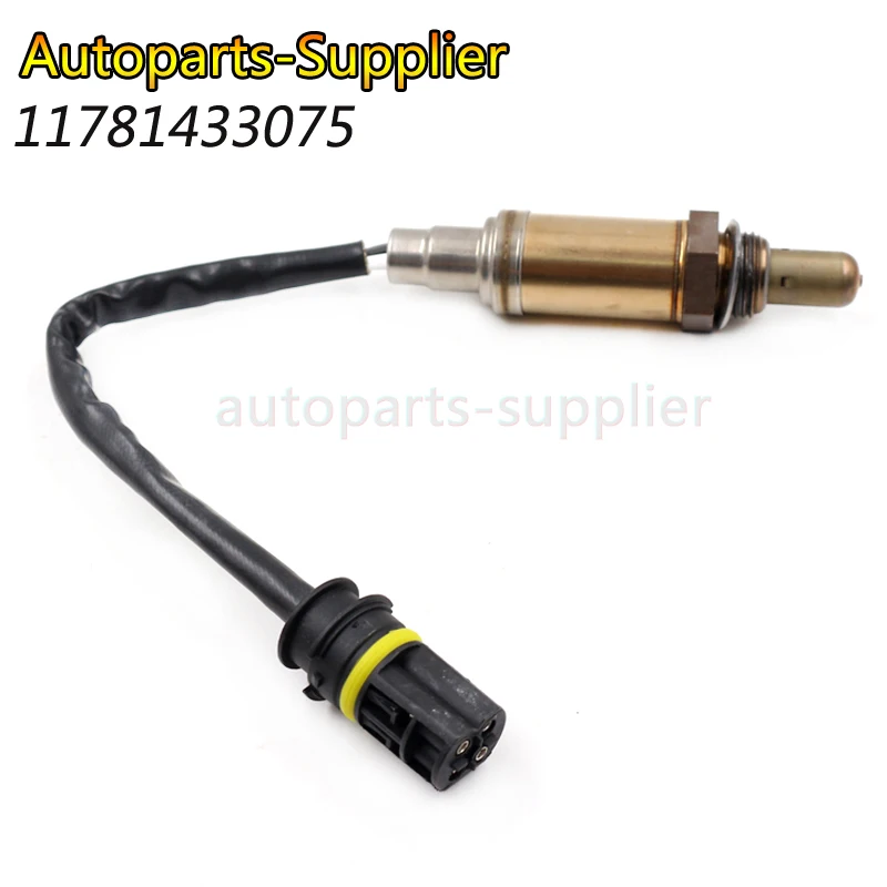 IMG_3304