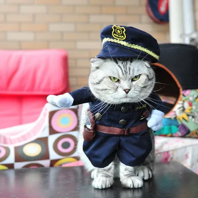 Милый костюм кошки, одежда, Забавный костюм Доктора полицейского, костюм для кошки, крутой костюм на Хэллоуин, одежда для домашних животных, костюм для кошки 27