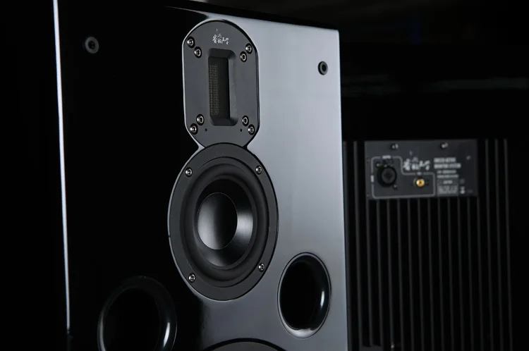 DM320 8 дюймовый трехсторонний активный мониторинг динамик s Hifi дюймов бас 4 Средний