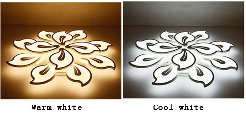 Ceiling-light详情3