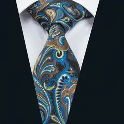 Dh-1646 Новое поступление 2017 года Барри. Ван Для мужчин Галстук Шелковый жаккард Gravata галстук для Для мужчин Бизнес Свадебная вечеринка