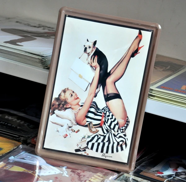 

[ Mike86 ] Pin-up With Dog Tin sign Art wall decoration House Cafe Bar Vintage Iron Painting A-281 Mix order 20*30 CM