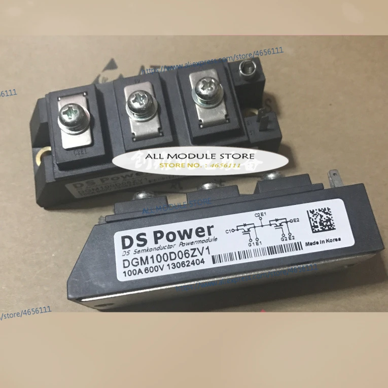 DGM100D06ZV1._