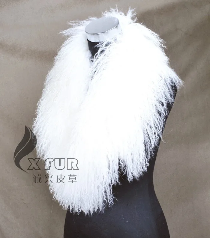 COLLAR-S11 (5)