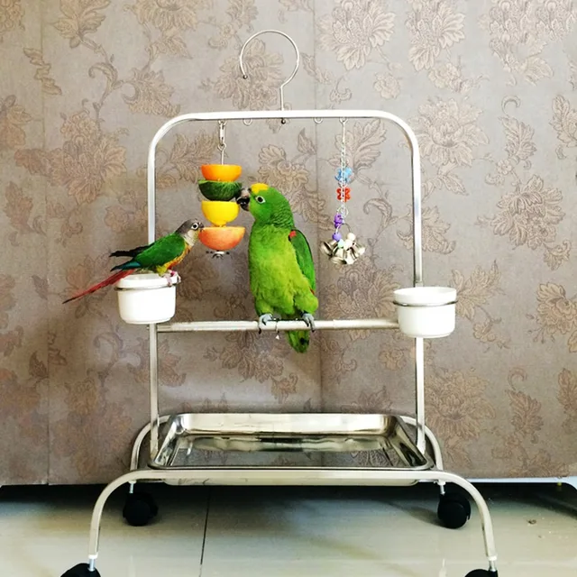 Foraging toys for parrots right! excellent For the foraging toys for parrots agree