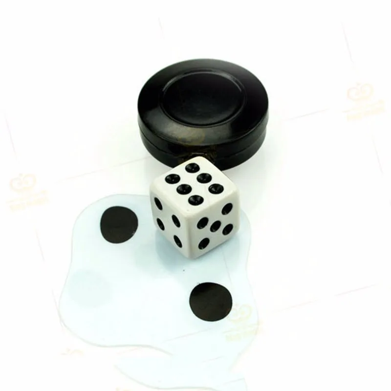  Dice Magic Trick (4)
