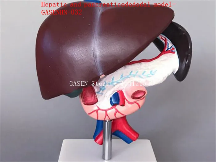 2_