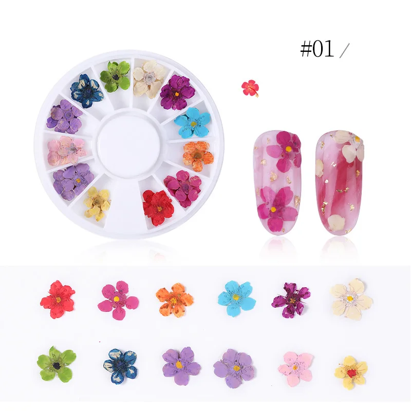 24PCS Dried Flowers Natural Floral 3D Floral Leaf Stickers Nail Art Decals Jewelry UV Gel Polish Nail Art Decorations - Цвет: 01