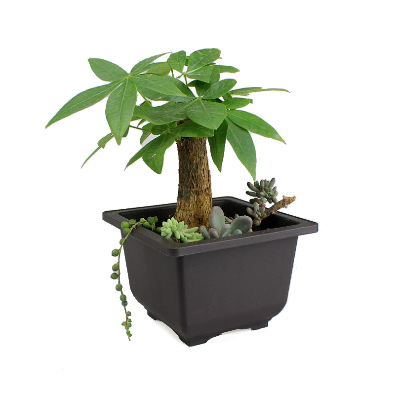 Flower Pot + Tray Balcony Square Flower Bonsai Bowl Nursery Basin pots Planter Imitation Plastic Rectangle Pots