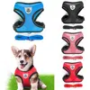 Breathable Small Dog Harness