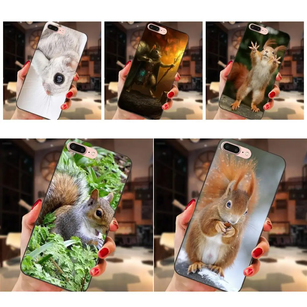 

Cute Squirrel For Xiaomi Redmi Note 2 3 4 4A 4X 5 5A 6 6A Plus Pro S2 Y2 Soft TPU Patterns