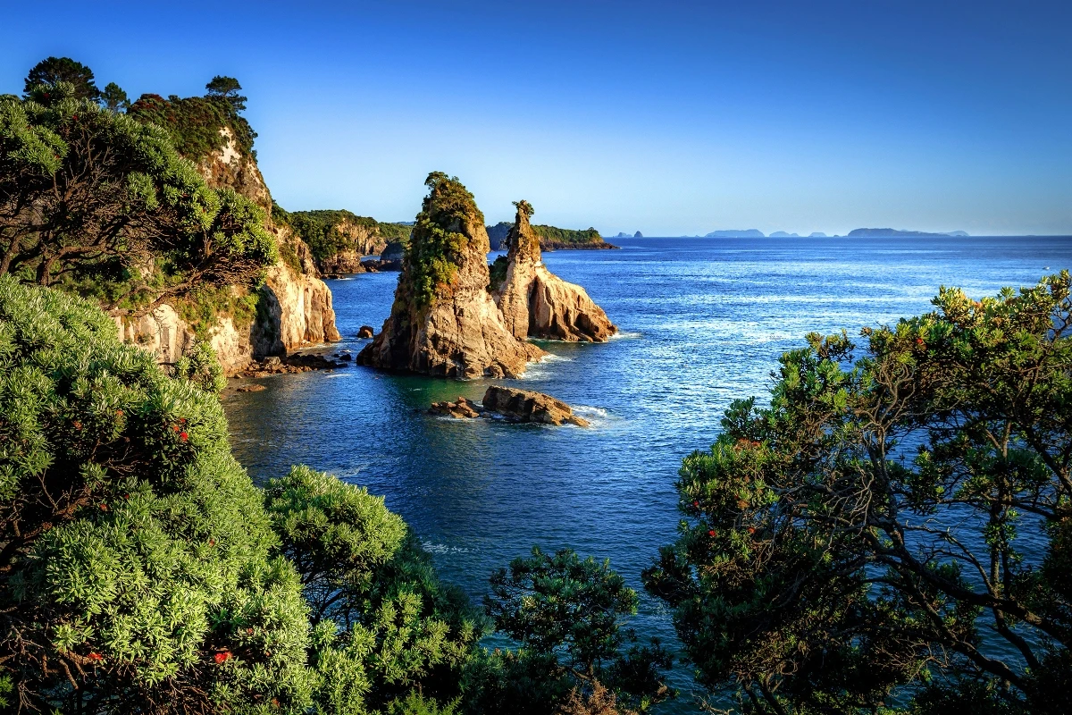 nature seascape New Zealand TJZK424 wall art canvas fabric poster