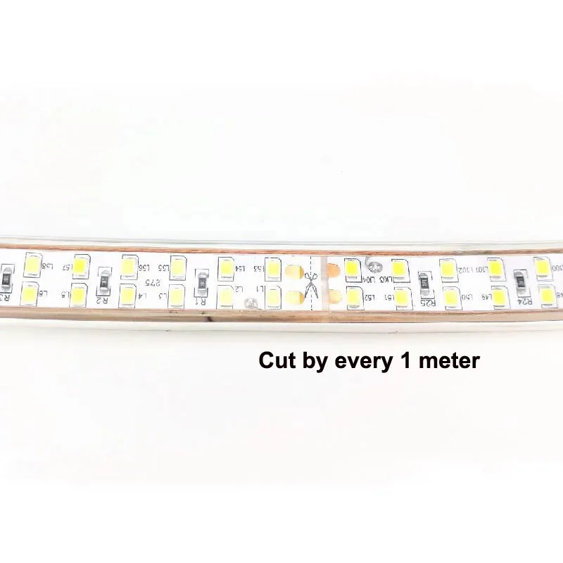 220V Double Strip 2