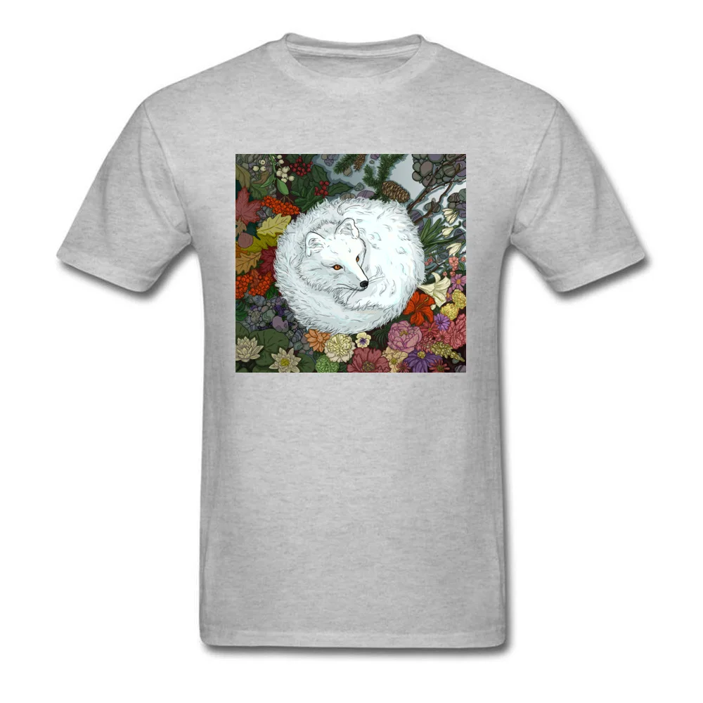 Arctic Fox_grey