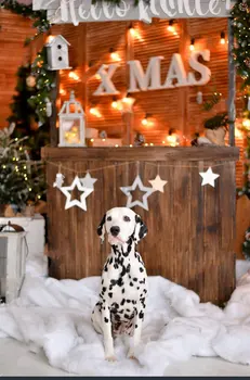 

Christmas decorations Xmas dog dolmatian star light photo backdrop Vinyl cloth High quality Computer print party background