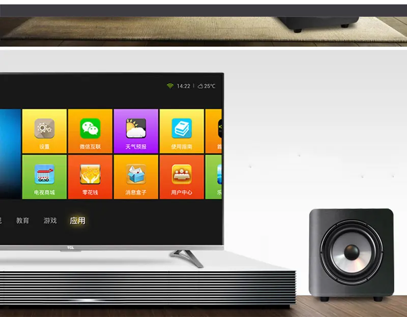 ws9 subwoofer (12)