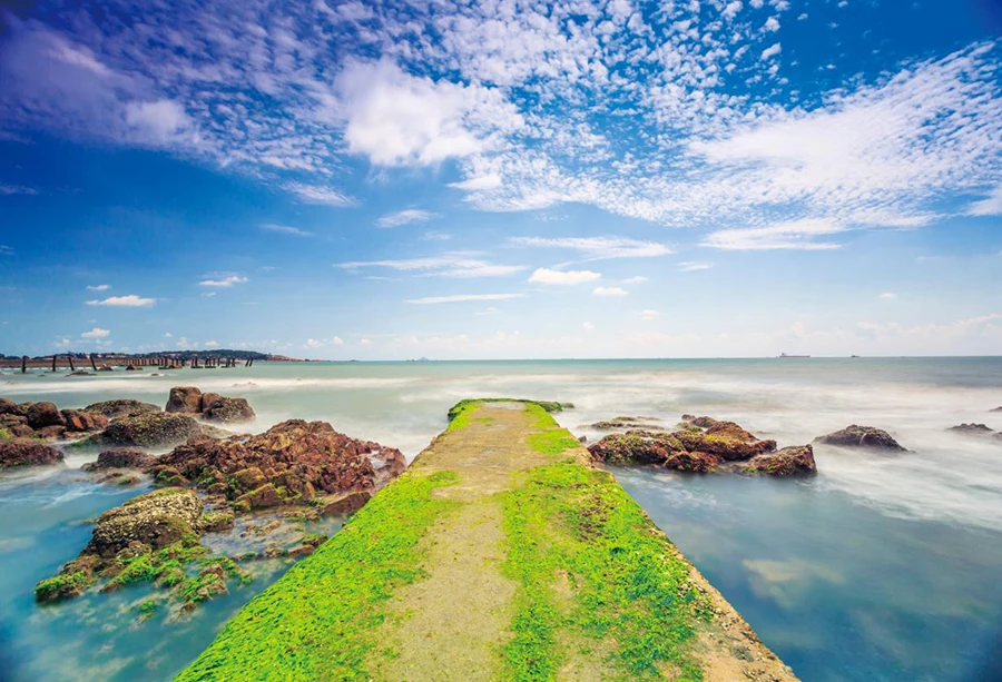 

Laeacco Tropical Sea Reef Stone Island Way Cloudy Blue Sky Scenic Photographic Backgrounds Photography Backdrop For Photo Studio