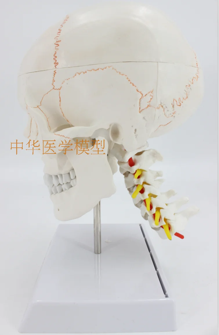//img.alicdn.com/imgextra/i1/403496940/TB2NZm2aUhnpuFjSZFpXXcpuXXa_!!403496940.png