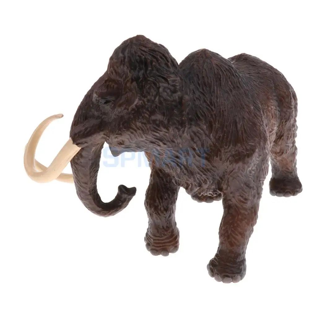 Simulation Wildlife Farm Pet Animal Model Action Figures Figurine Kid Educational Science Nature Toy Home Collectible Decoration