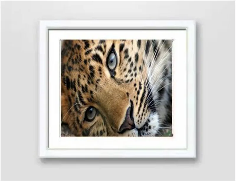 New Design DIY 5D magic cube Diamond Embroidery Rhinestone Pasted diamond painting Cross Stitch Animal tigers head | Дом и сад