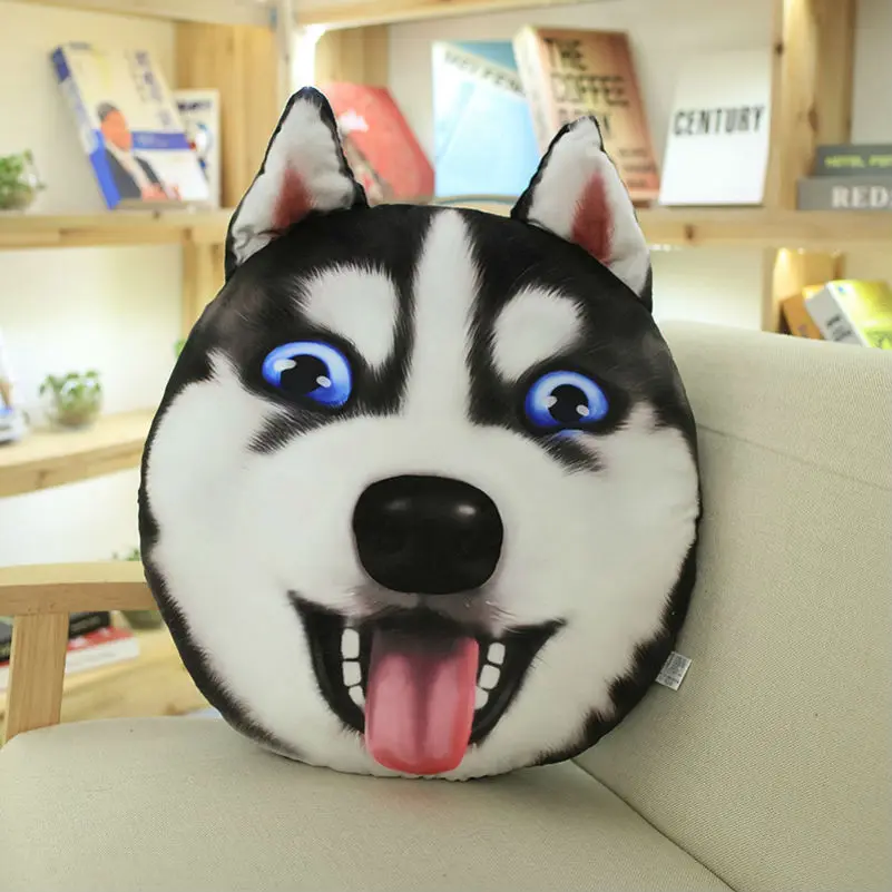 sofa cushion husky