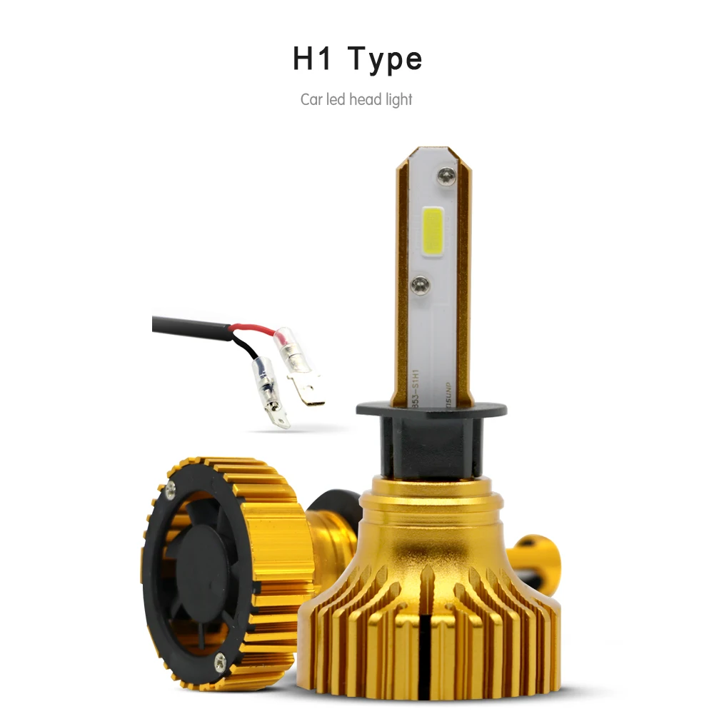 H1