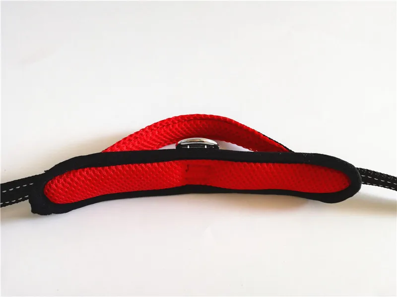 Dog Collar and Leash Set (10)
