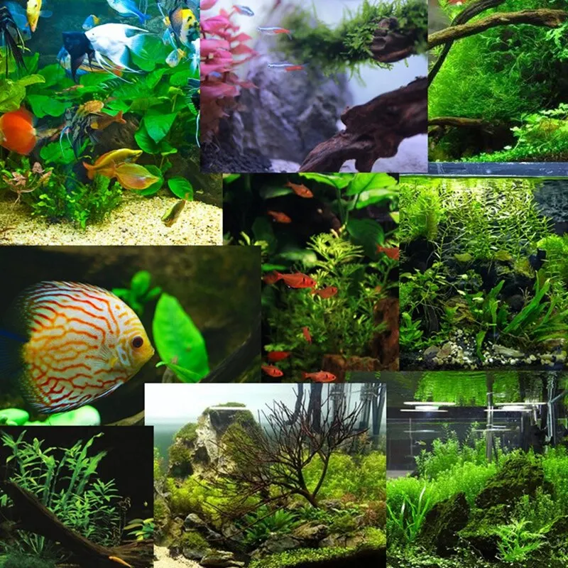 

Instant Strong Glue Tube Fish Tank Coral Moss Rock Aquarium Landscape Fast Fixer 5g