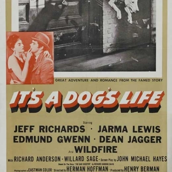 It's a Dogs Life Movie Poster (11 x 17)