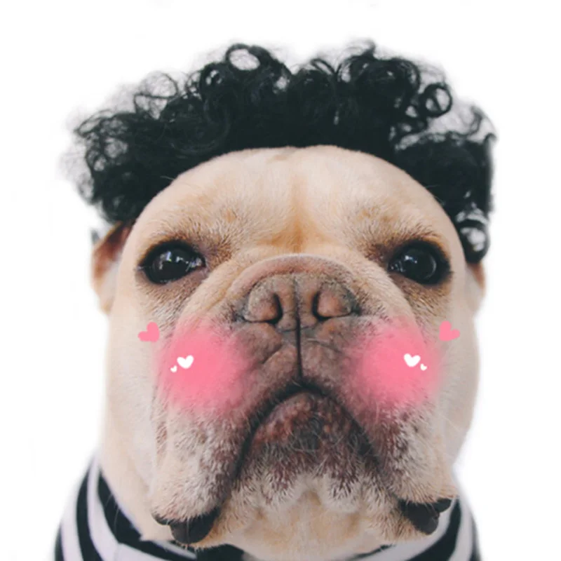 Soft Synthetic Hair Curly Wig Cap Pet Dog Puppy Afro Wig Curly Hair