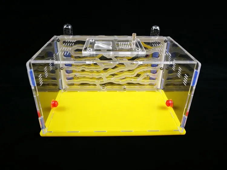 ant-nest-city-D1 (4)